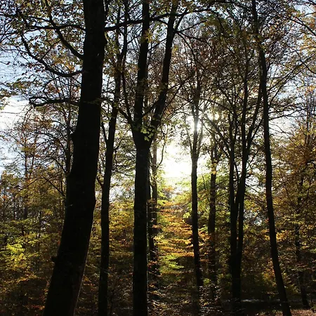 Un Balcon En Foret * Thomery