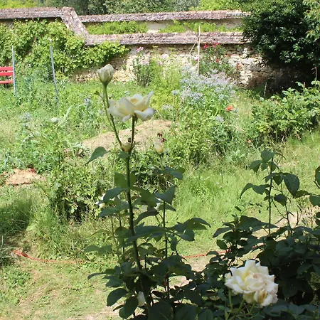 Apartment Un Balcon En Foret *